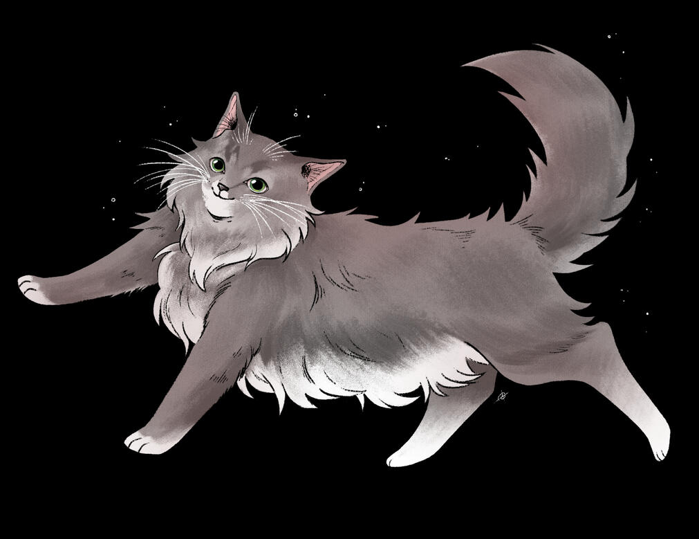 Psuwis (Maliseet for 'cat!)